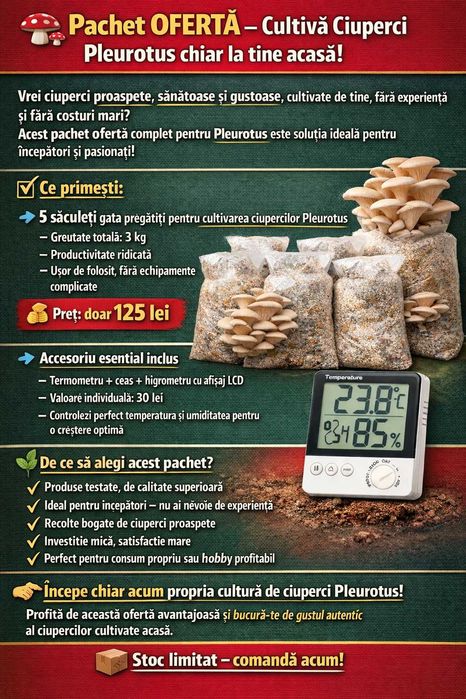 Pachet OFERTĂ – Cultivă Ciuperci Pleurotus chiar la tine acasă!