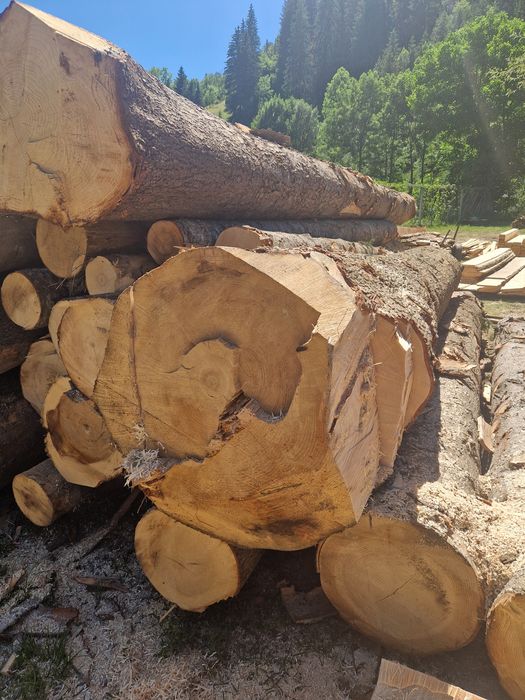 Lemn de foc și cherestea