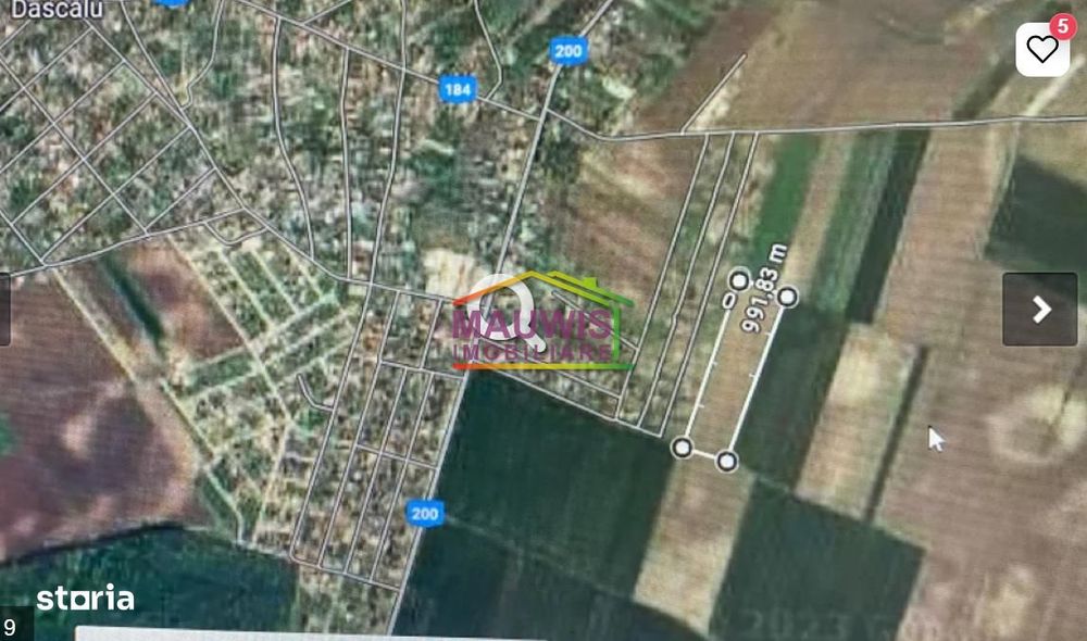 Vand teren intravilan comuna Dascalu 1,8 ha cu deschidere de 50 ml