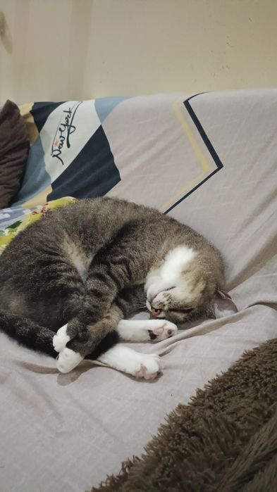 Отдам девочку в хорошие руки