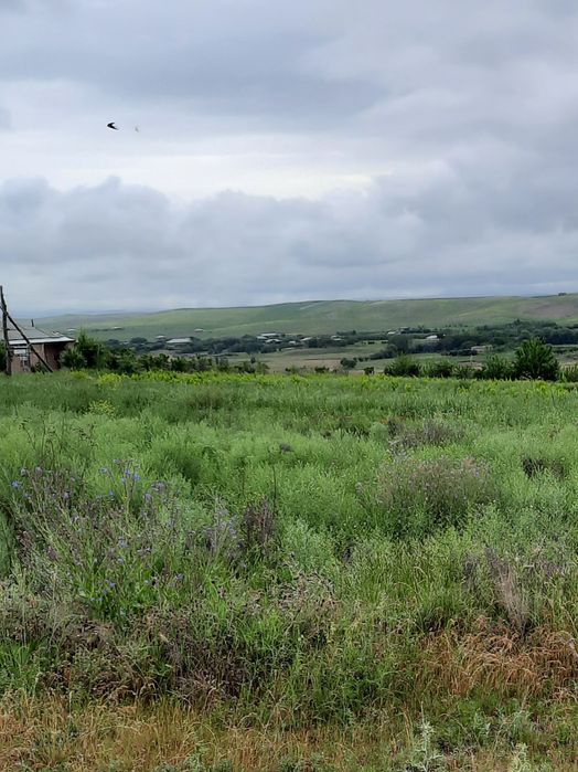 Учаска сотилади уйхамбор