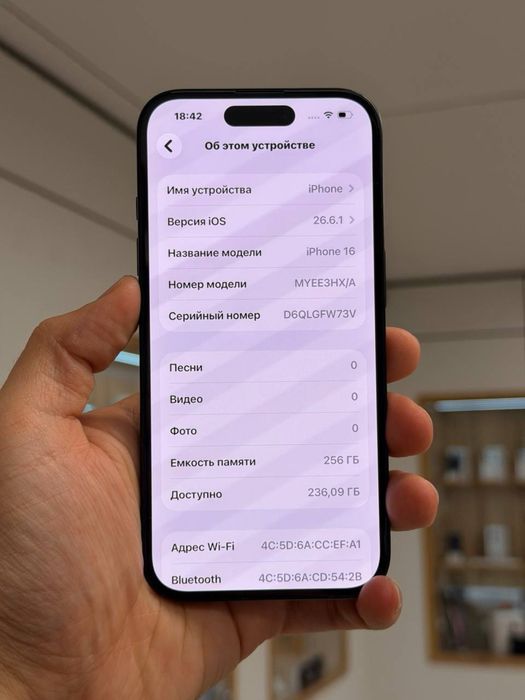iPhone 16 | 256 GB