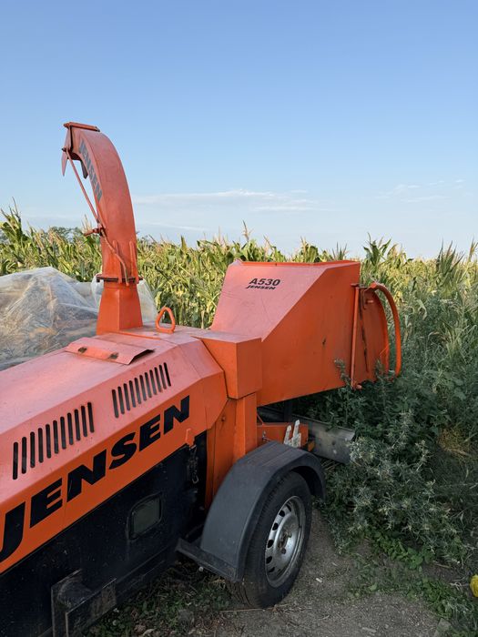 Curatam sau defrisam  terenuri