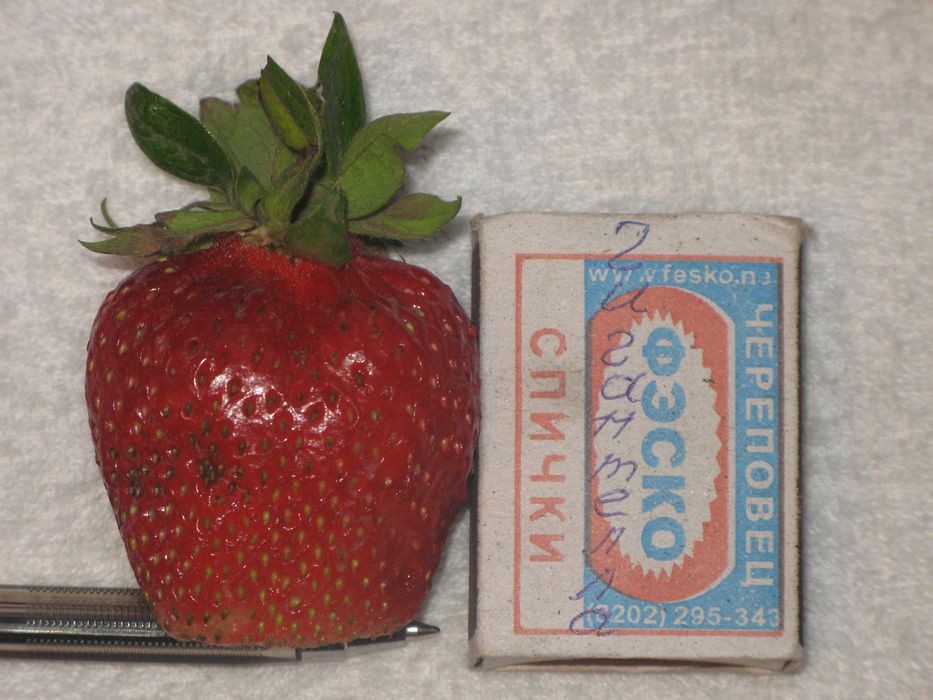 продам дачу с домиком 2эт юго восток Караганда