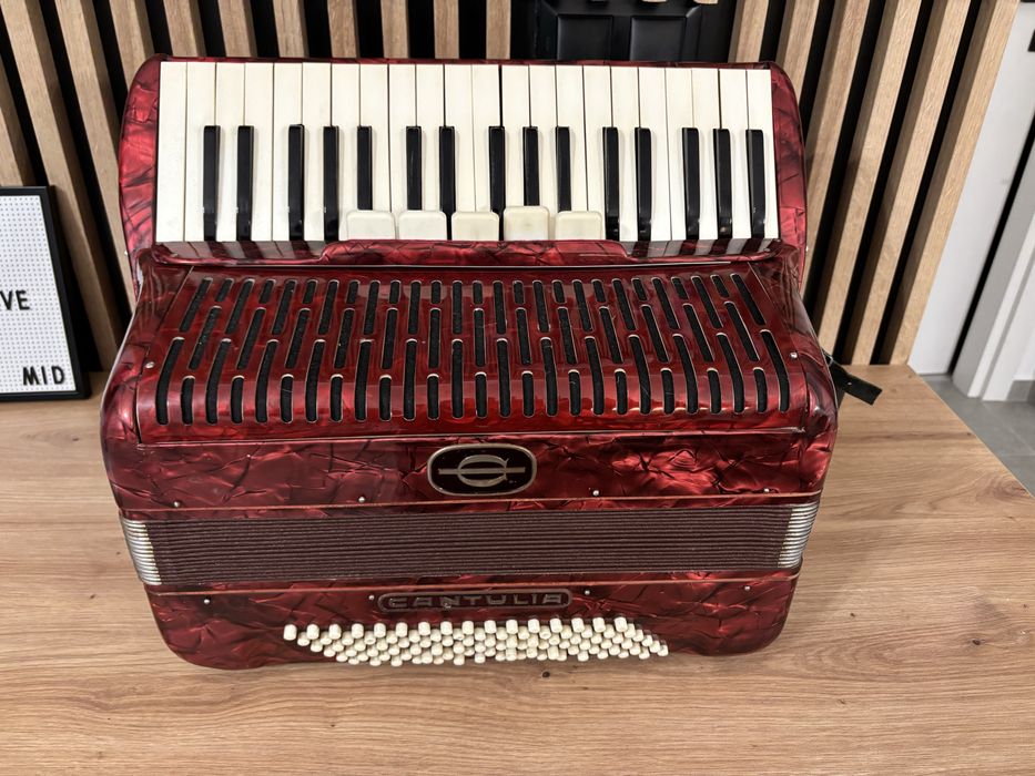 Vand acordeon cantulia cu 96 de basi