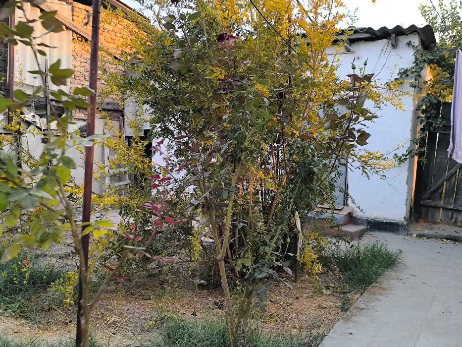 Продается дом на земле