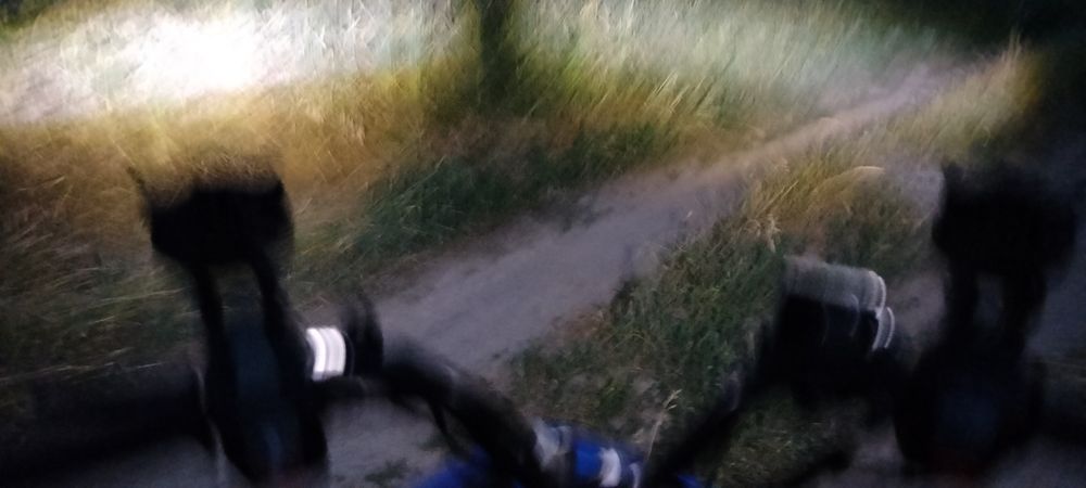 Pedo Gts sport italia