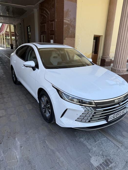 BYD Chazor Radnoy kraskada