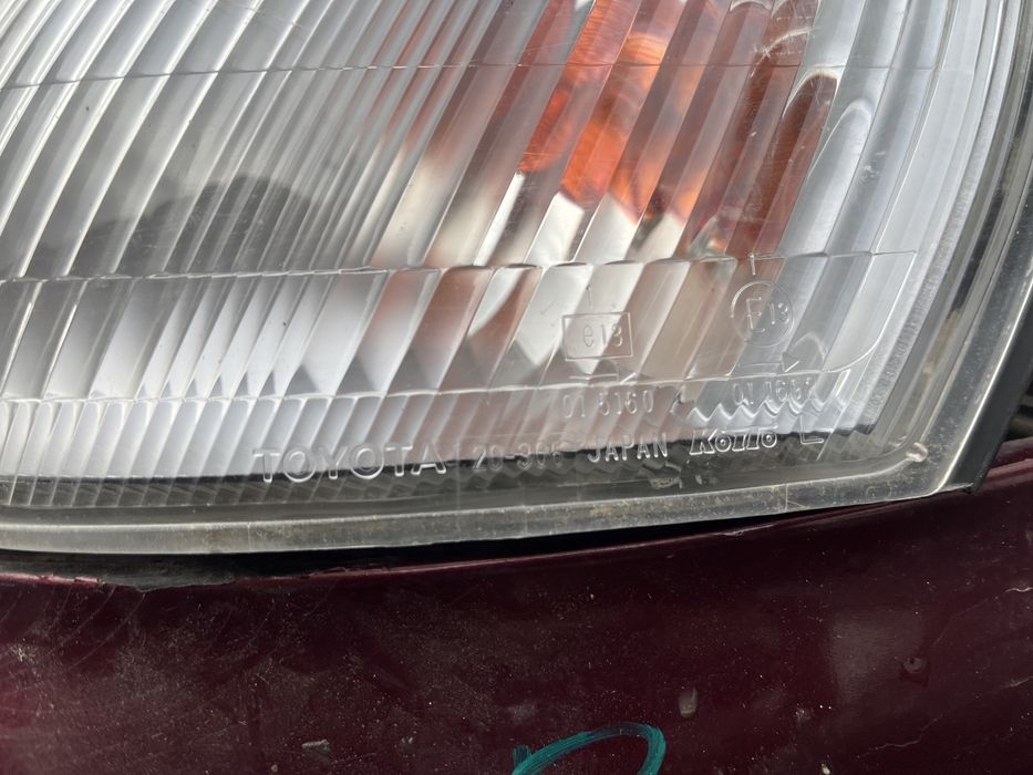 Карина Е привозной ноускат