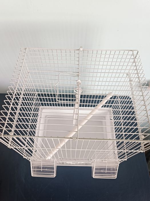 Продаются клетки