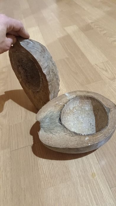 Кора крупная. кокос