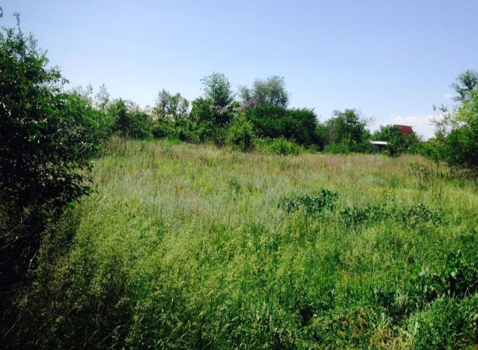 Участок в дачном массиве