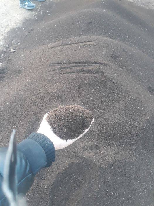 Аксия Калифорния чувалчанг