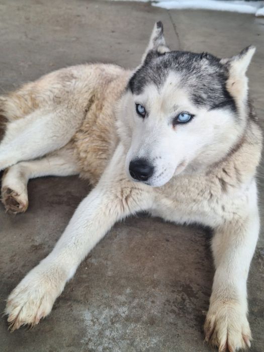 Айфон 13 про 256;