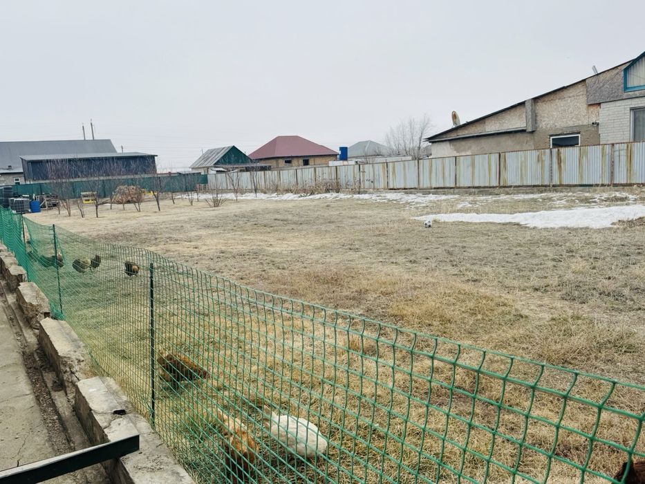 Продаю огороженный участок