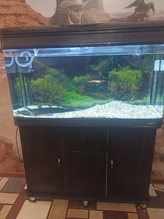 Продам Аквариум 200л