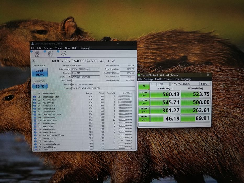 SSD Kingston 480 GB