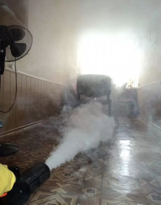 Обработка от клопов, тараканов | Уничтожение насекомых | Дезинфекция ...