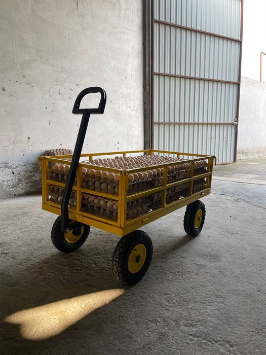 Tuxum fleyka tashish uchun arava