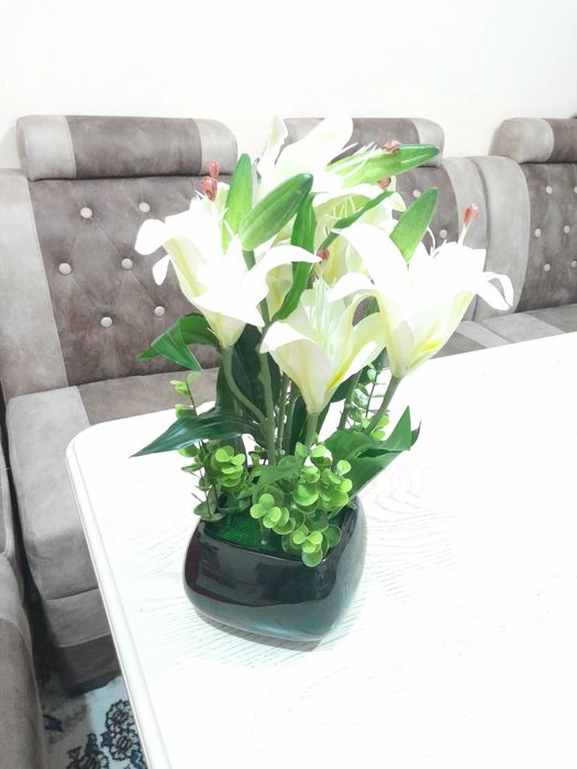 Dekorativniy suniiy gullar