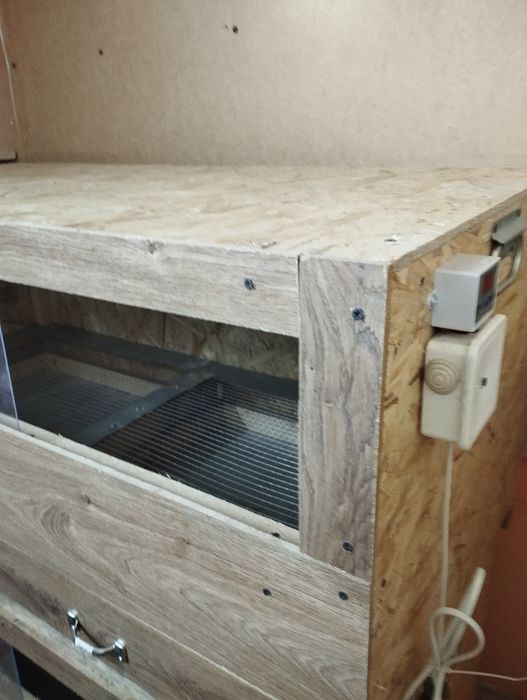 Брудер для  цыплят