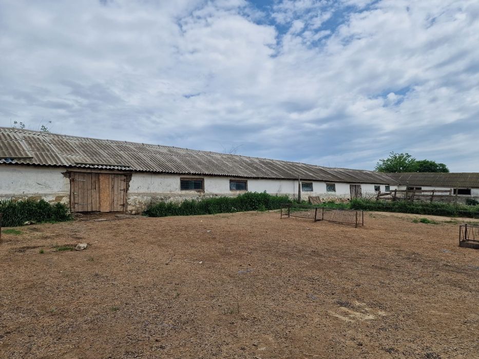Ferma de vanzare in Cochirleni, Constanta