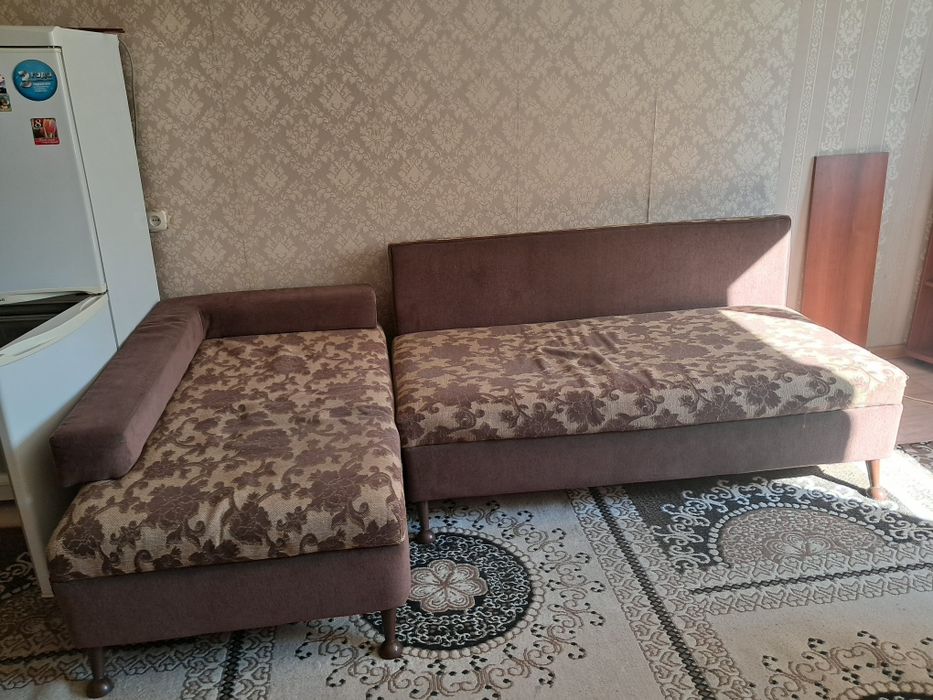 Продам диван и палас за 15 тыс тенге.