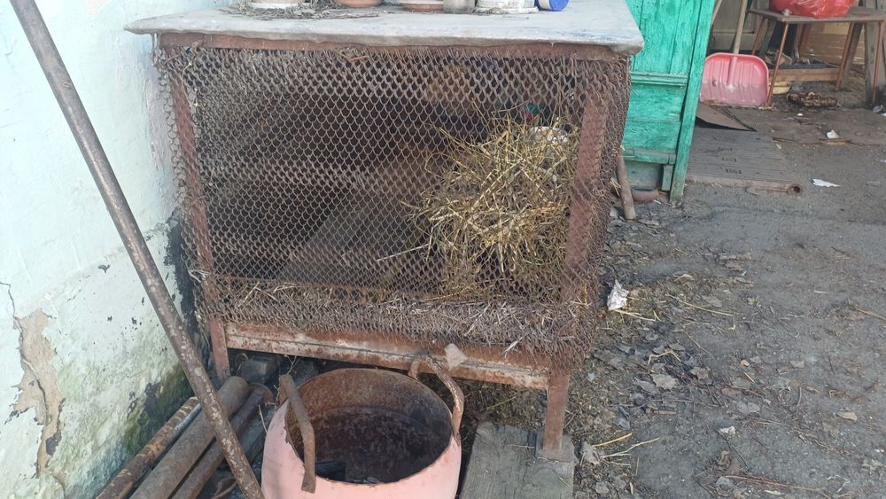 Продам добротный кролятник