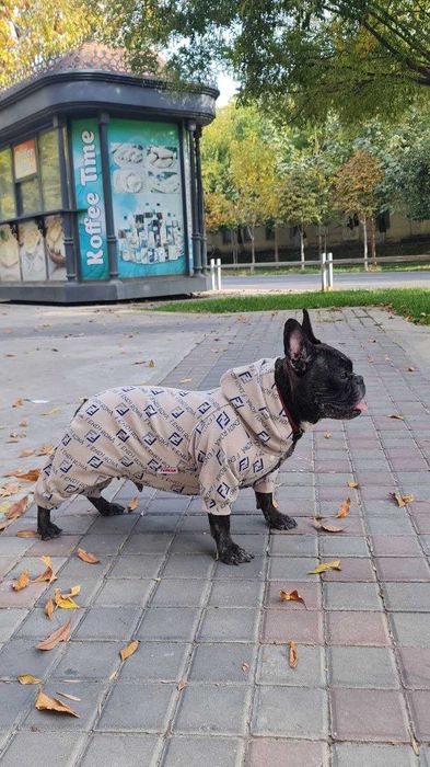 Одежда для животных от TURKAN.