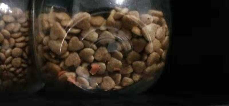 Экструдер кормовой, 15квт, 380В