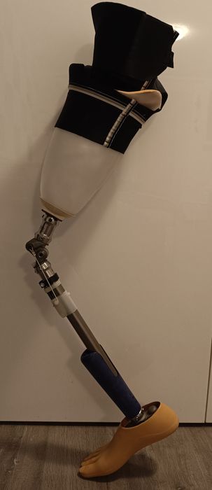 Proteza Coapsa Modulara