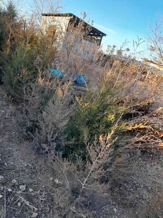 Продам маживельники