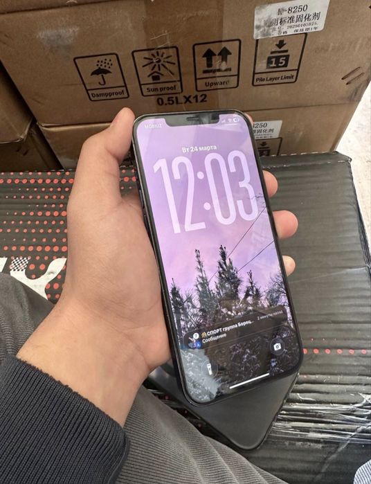 Iphone 12 pro max