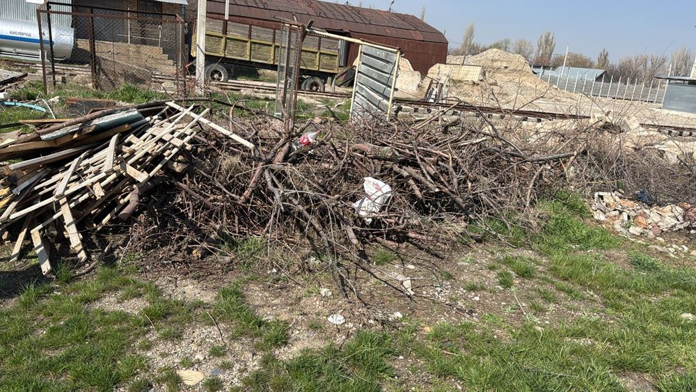 Отдам дрова даром, фруктовые