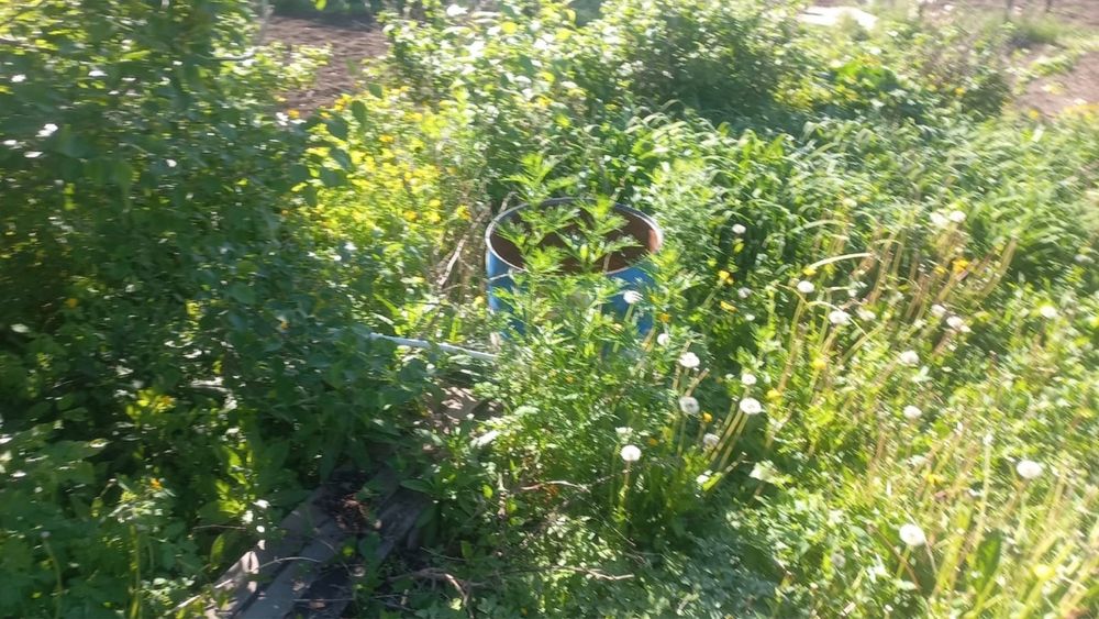 Продам дачу Летний вариант