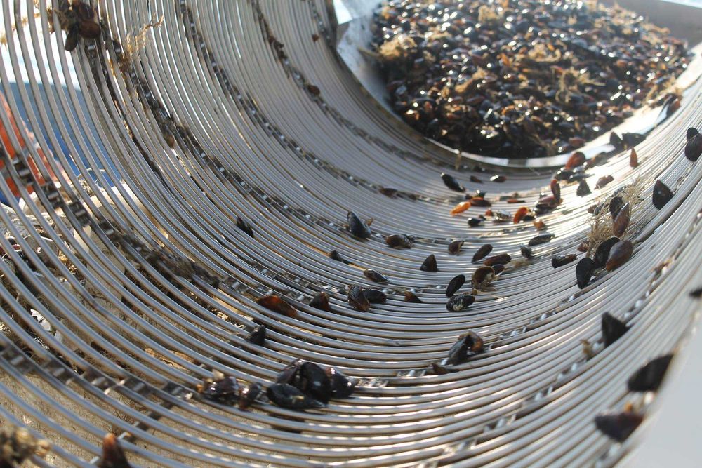 Ферма за култивирани миди