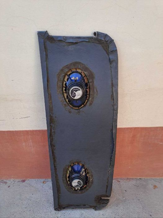 Pioneer kalonka tico