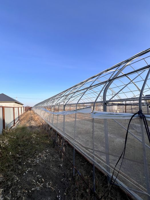 Продается теплица 500кв/м(участок с теплицей)