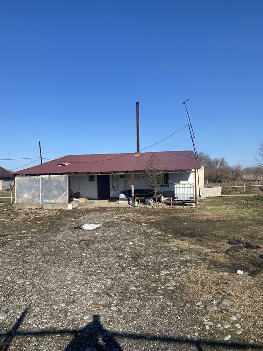 Аренда базы для птицыфабрике