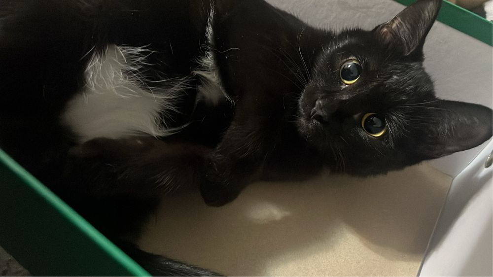 Малышка ищет себе родителей