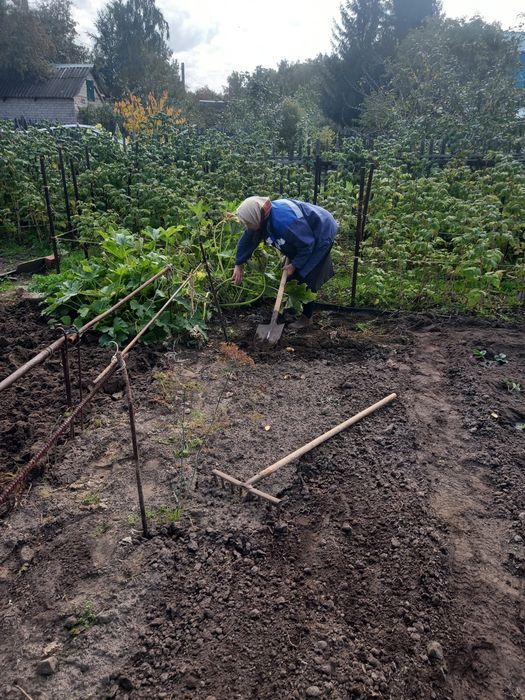 Продам дачу Новопавловка