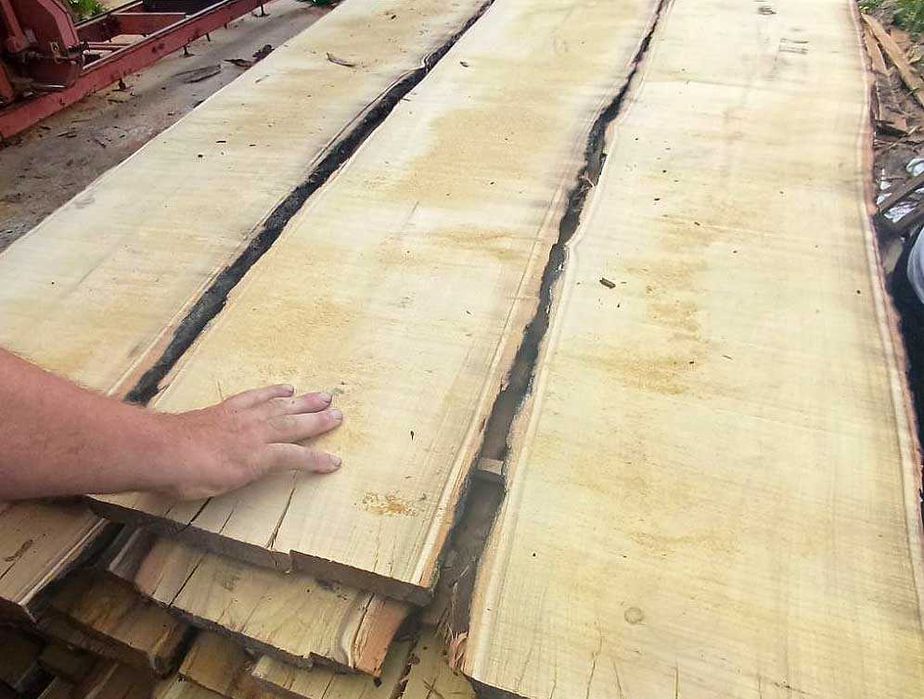 Колове акация-налични количества ,различни дължини и диаметър