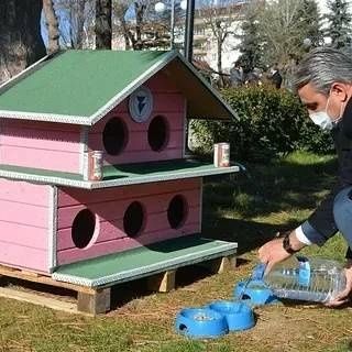 Кошкин Дом*** эксклюзивные модели