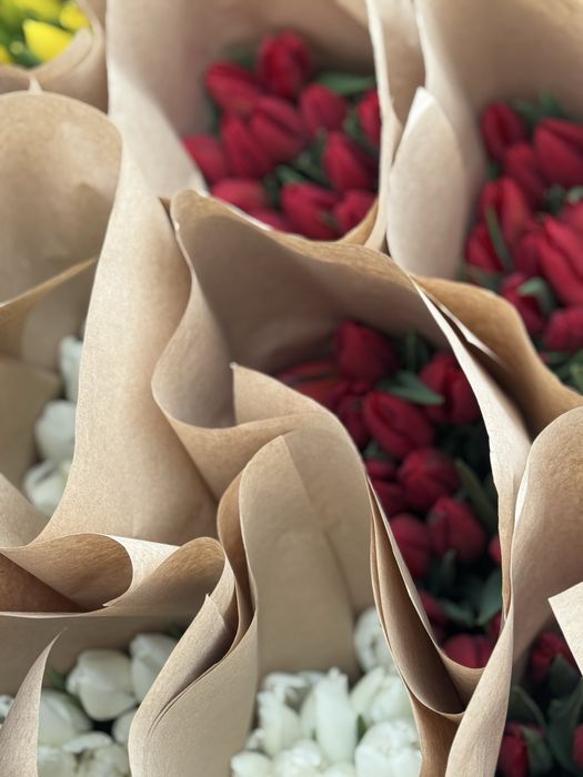 Тюльпан крупный местный