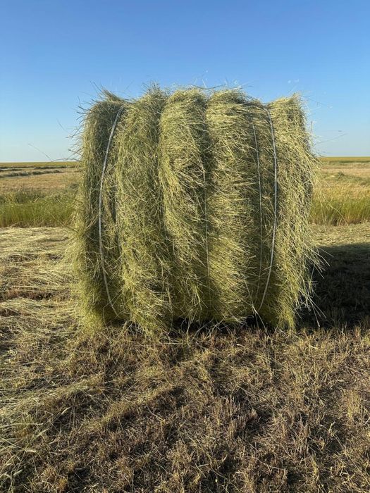Рулон сено 300 кг