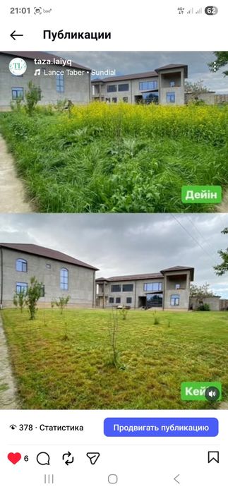 Газон орамыз. Шымкент