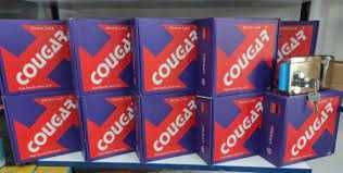 Электромеханический замок COUGAR для домофона