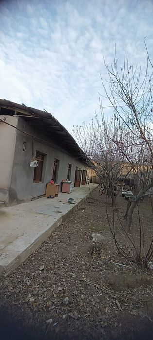 XovLi 2x 250ye pustoy. M.Fozilov KeLes. 4.maktab RieLtor_50% +variyant