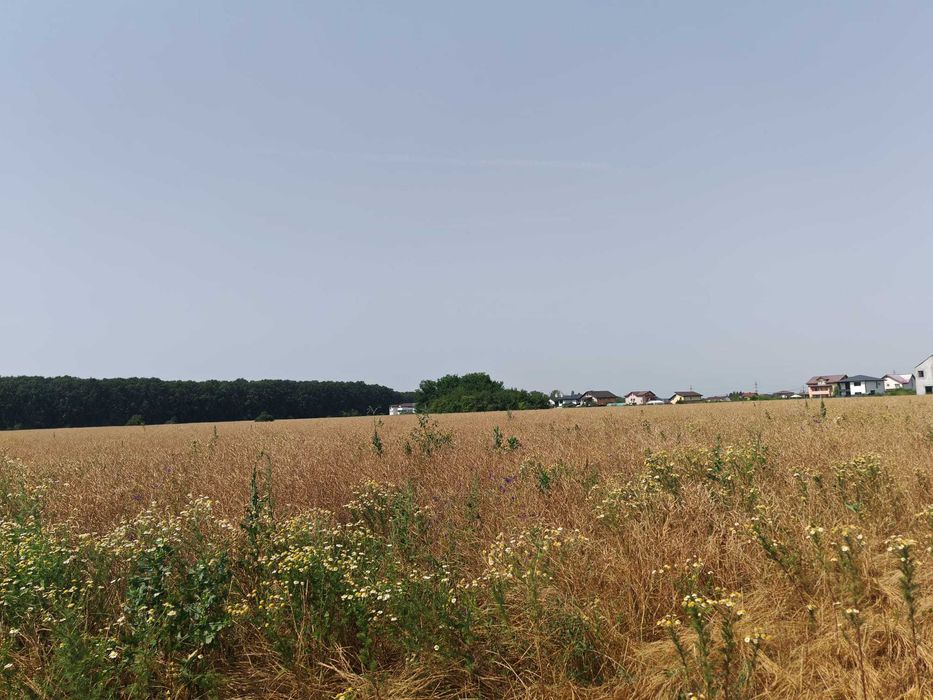 Teren, 8950 mp, langa padure, Intravilan, Magurele, strada Tangentei