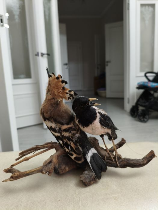 Продам Сувенир для дома, отличном состоянии